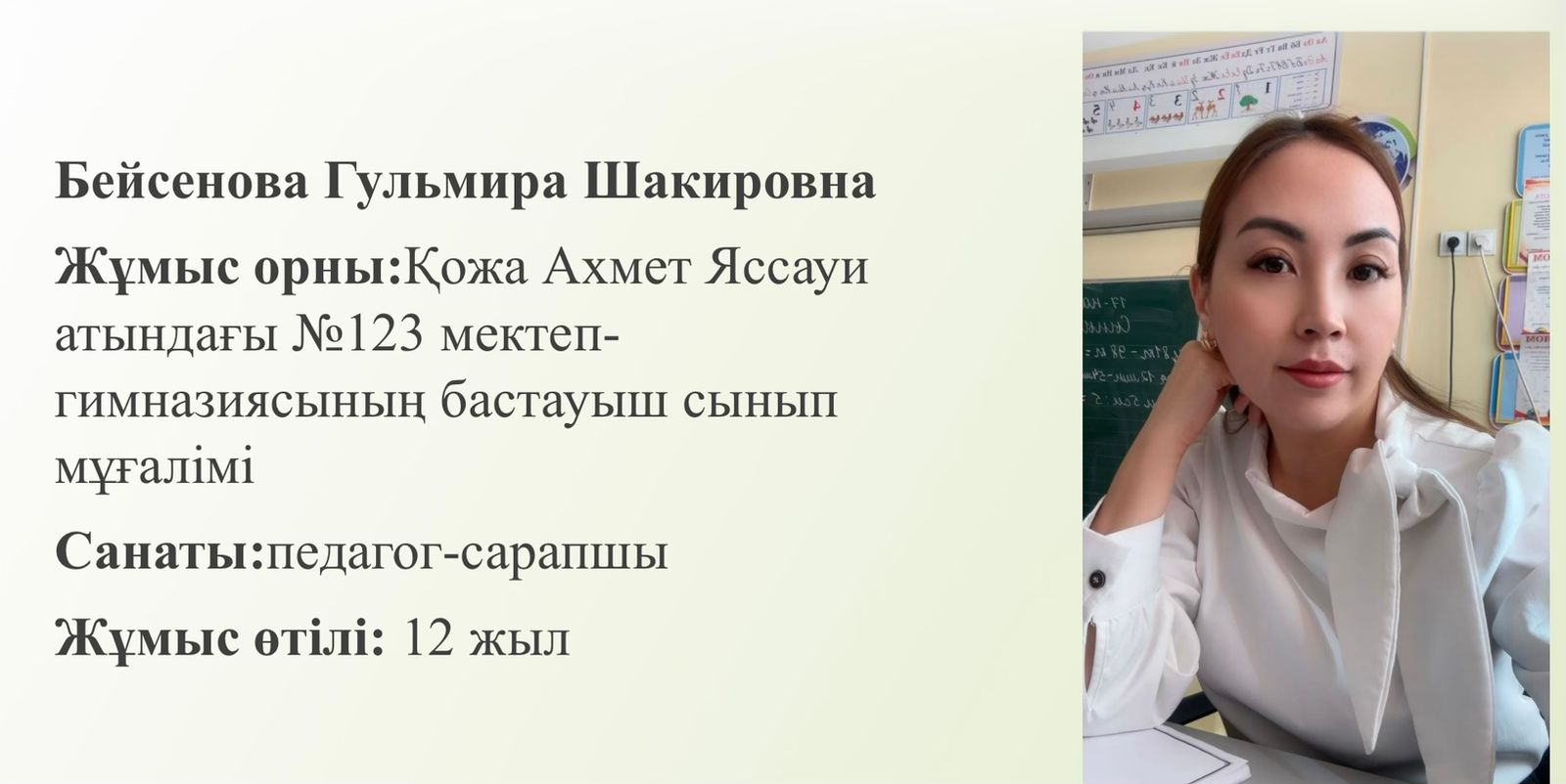 Бастауыш сынып мұғалімінің кәсіби тәжірибесі туралы анықтама